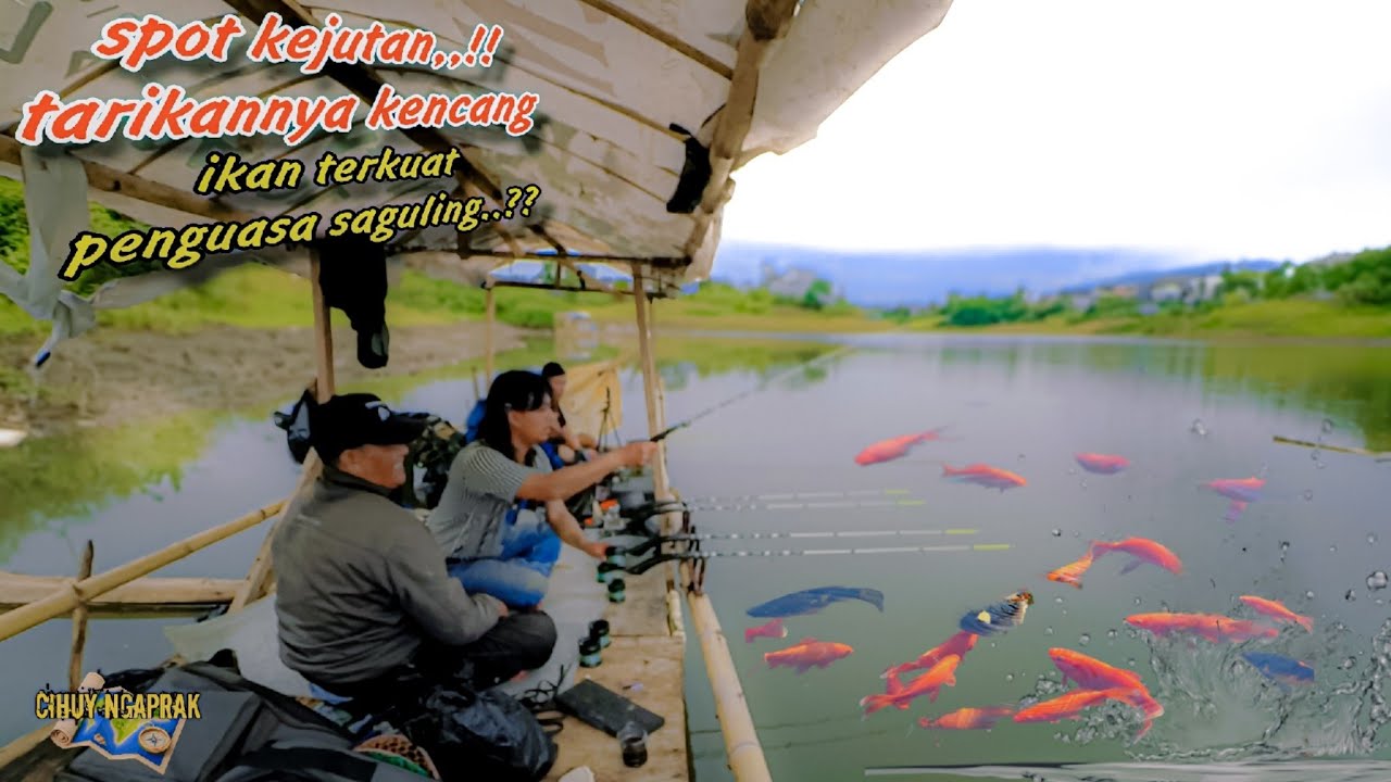 Rekor 💯 kaget‼️semua lapak seharian di serang ikan terkuat ⁉️mancing saguling terbaru