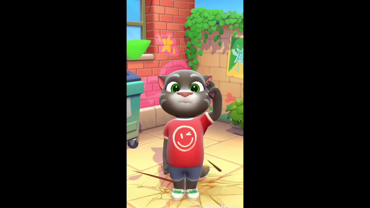 talking tom live fun