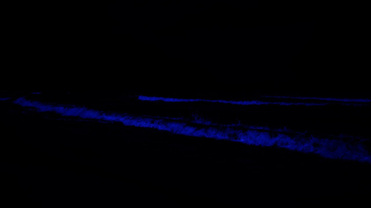 Ascolta per 2 minuti e addormentati velocemente   Rigenerazione di tutto il corpo, sollievo al 100%