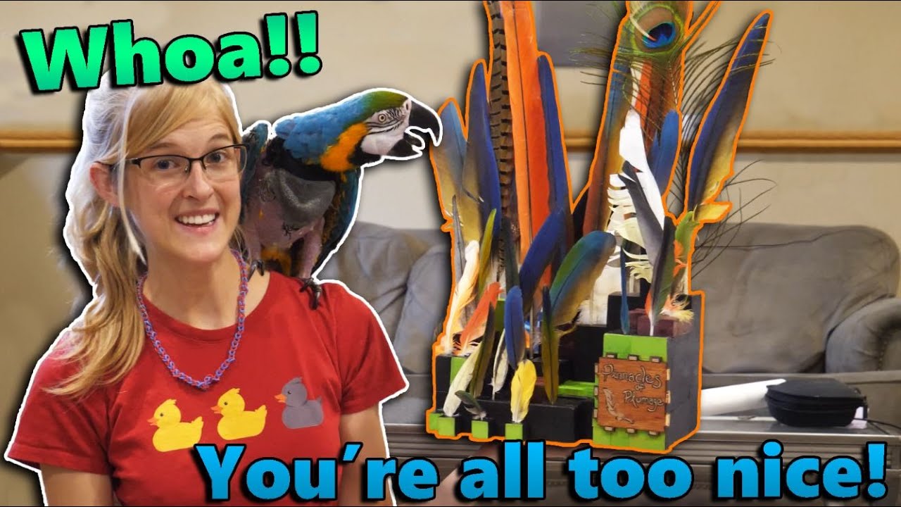 An Awesome Feather Display in our Mail?! (Fan Mail Part 20)