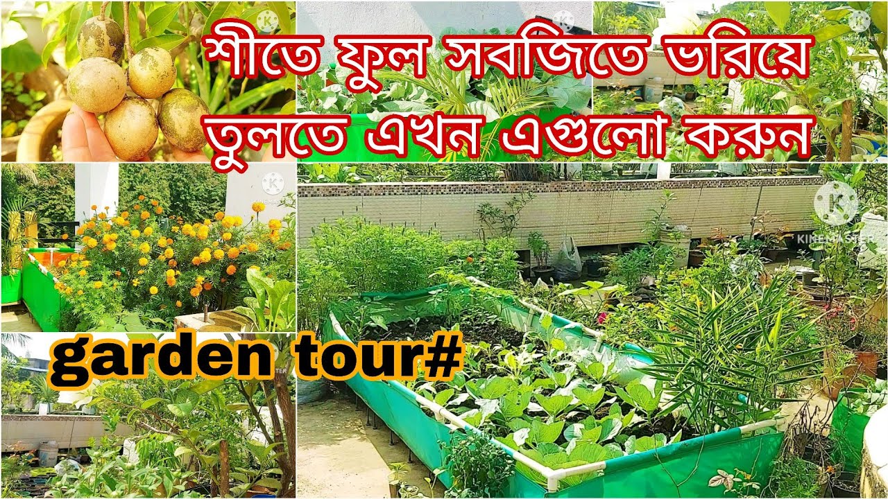 November er 15 tarikher moddhe bagane kore nite habe ei kajgulo.#Garden tour #roofgarden