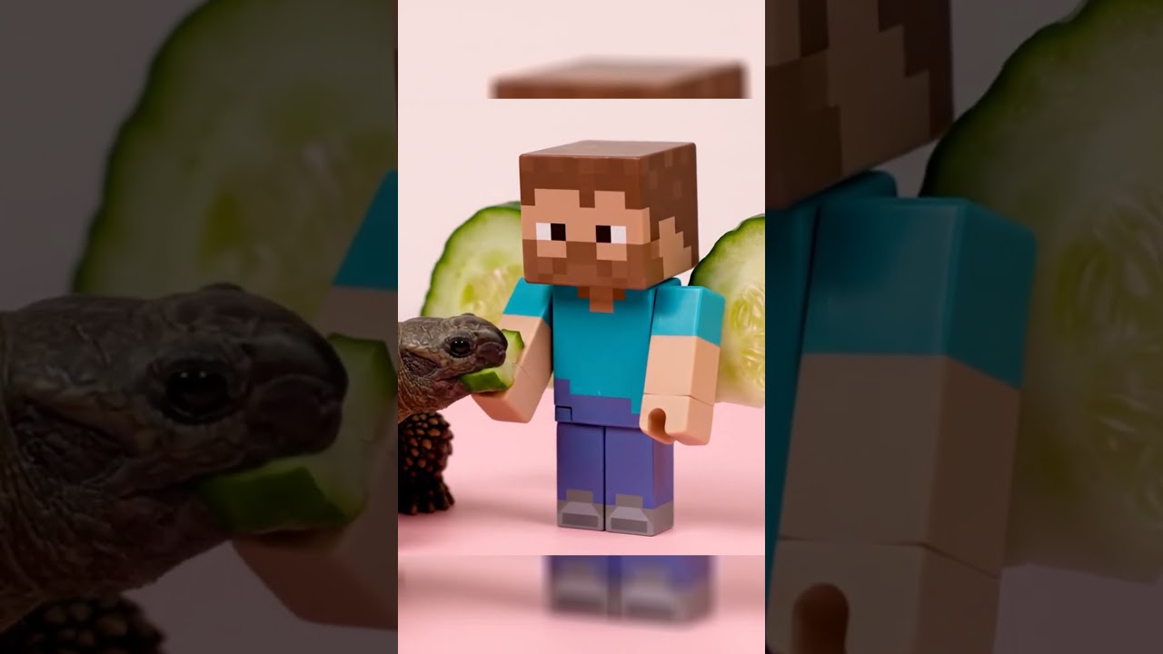 ULTIMATE  Steve vs Hungry Tortoise! 👑 