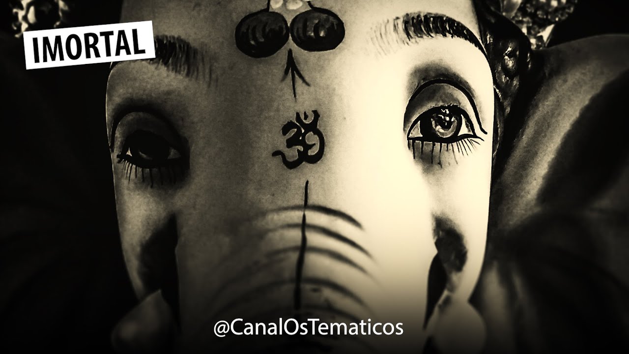 DOCUMENTÁRIO: Viver para sempre