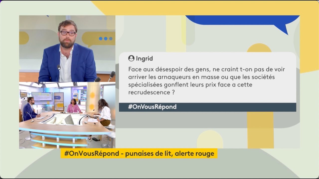 Punaises de lit : Réponse aux questions les plus posées - France Info - On vous répond