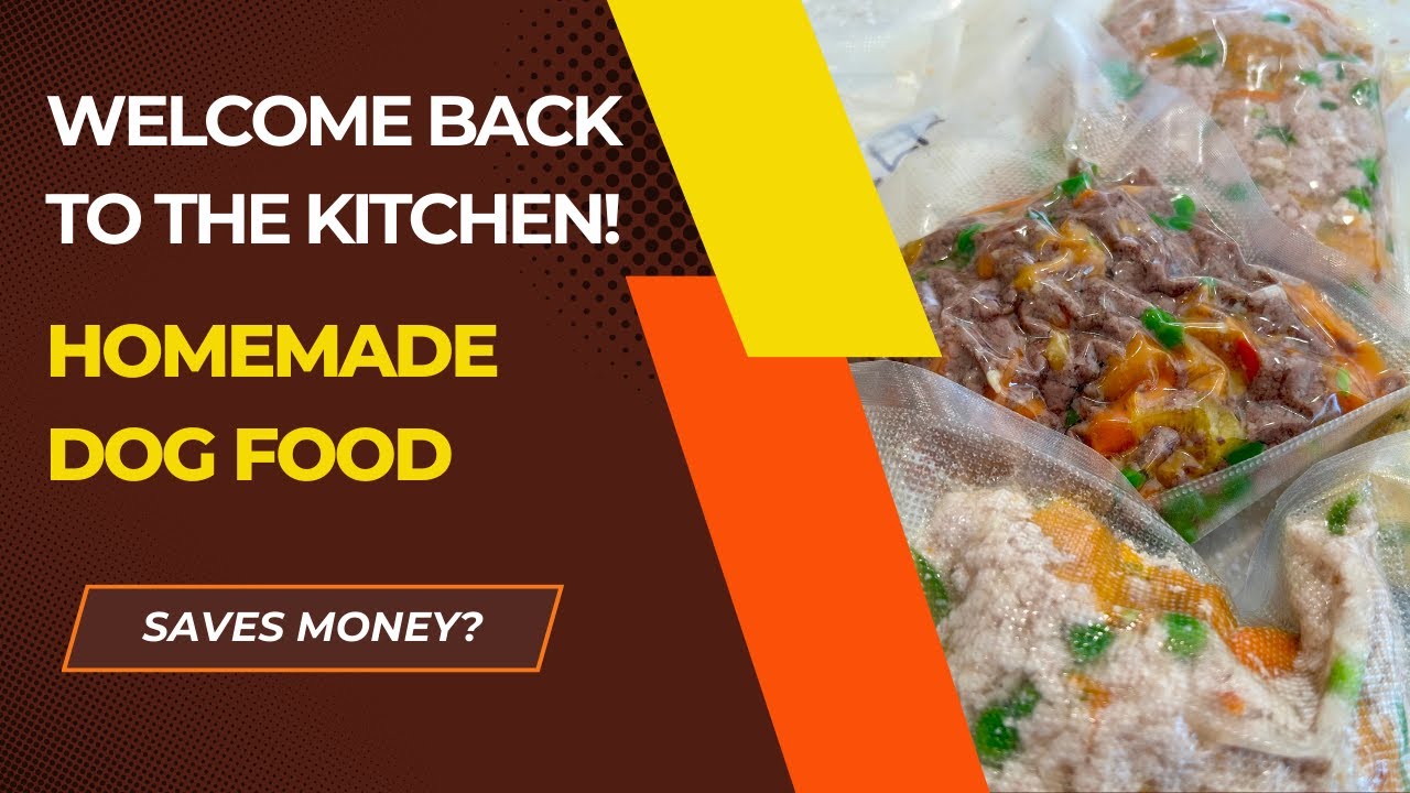 Homemade Dog Food!  Does it save money over subscription fresh food services?
