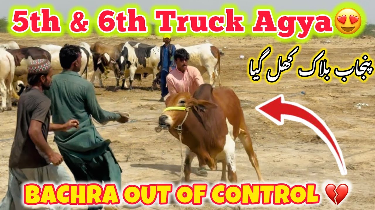 Bachra Out Of Control 💔 | Northern Bypass Mandi | 5th & 6th Truck Agya 