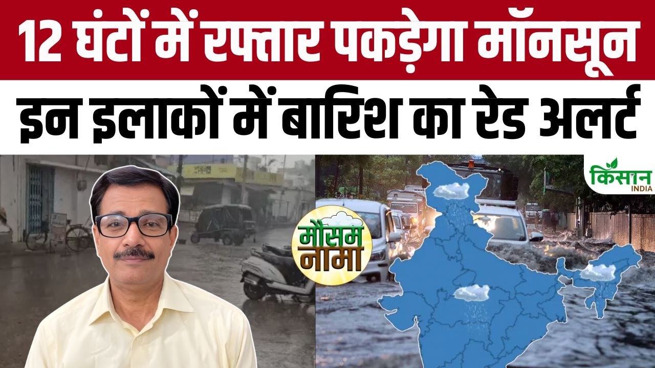 IMD Weather Update | Monsoon to pick up pace again in next 12-24 hours, Rain Alert for these regi...