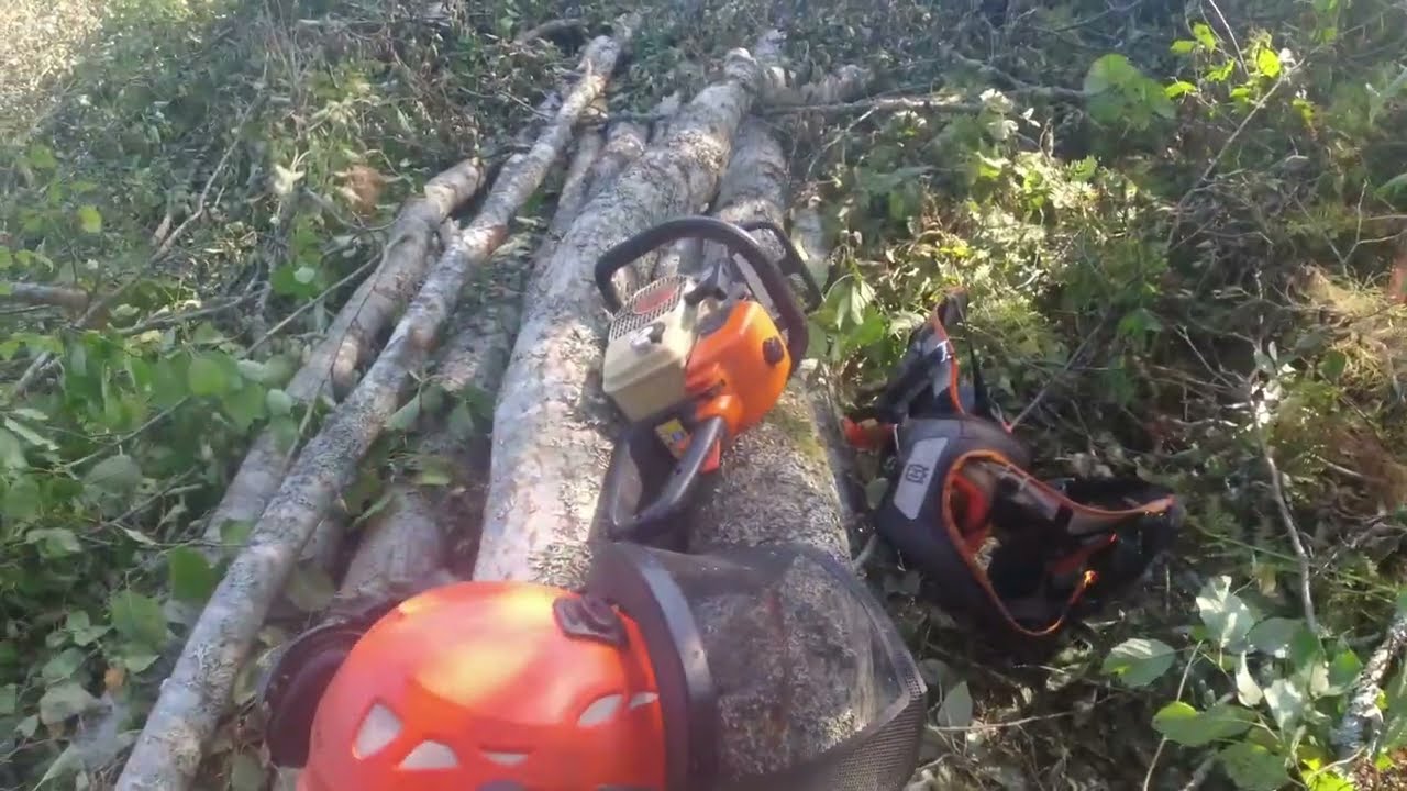 Energiapuuta pitkälleen