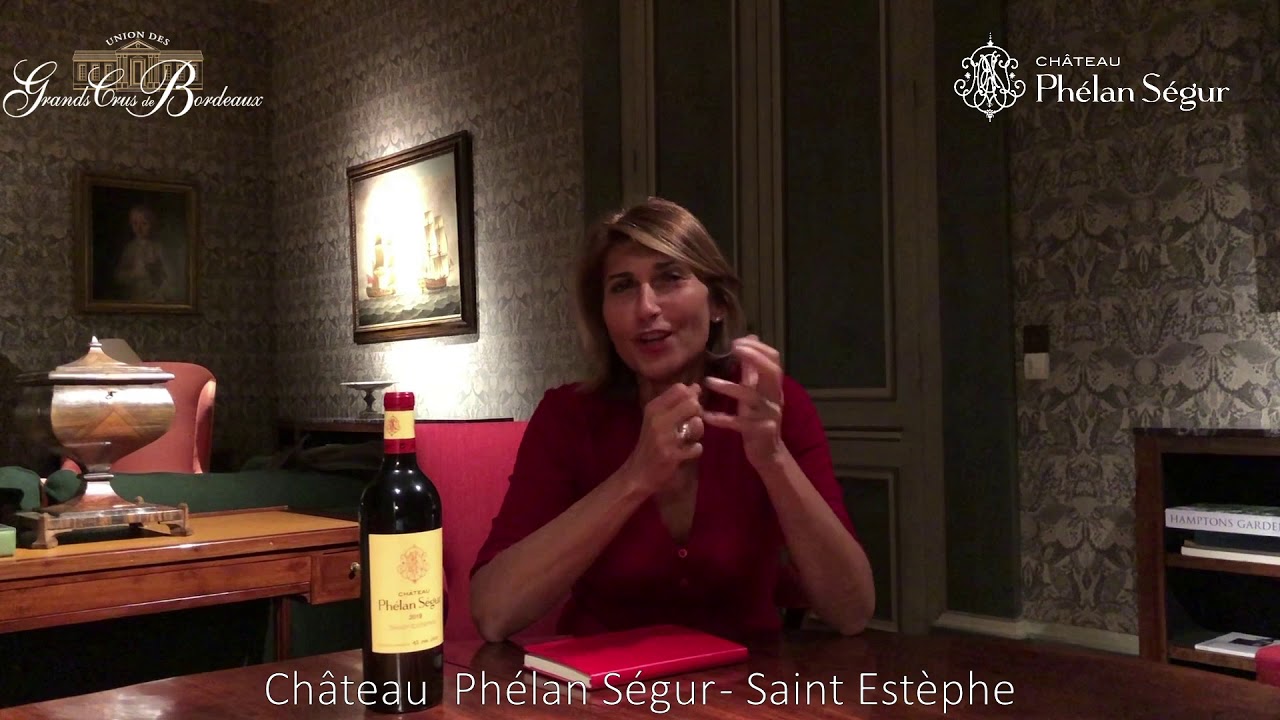 Ch&acirc;teau Ph&eacute;lan-S&eacute;gur - Saint-Est&egrave;phe - 2019 Vintage