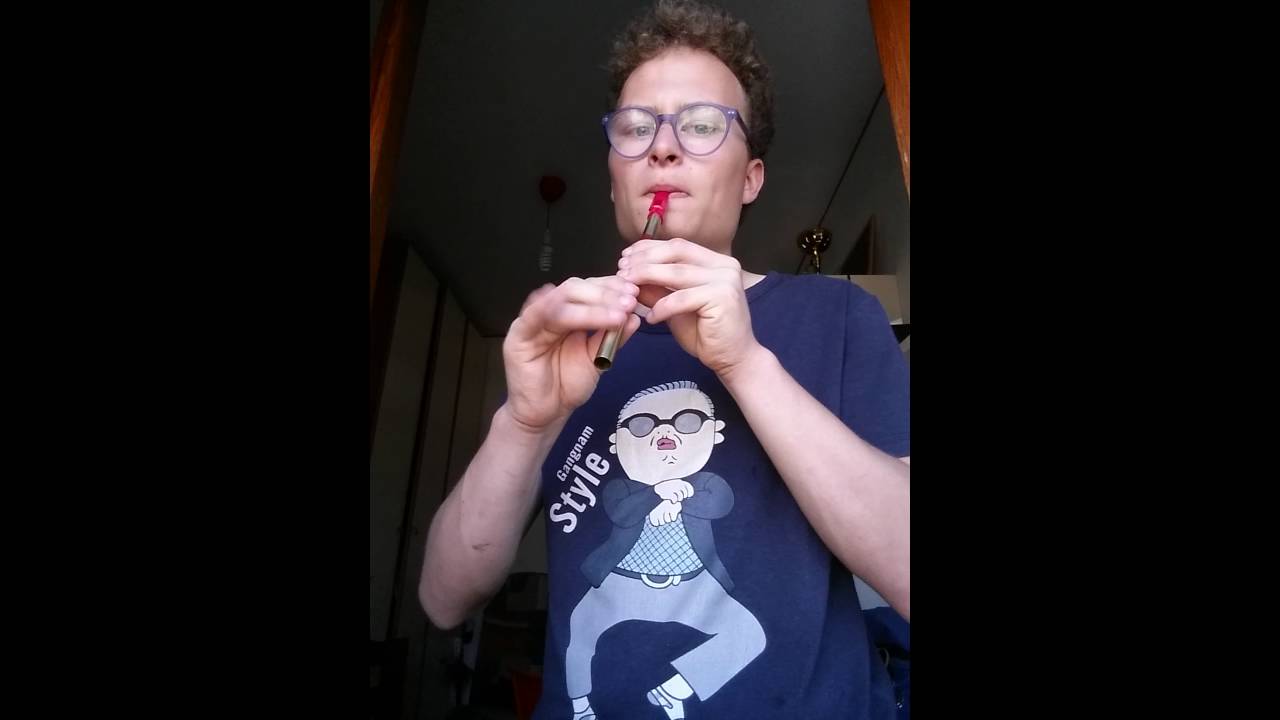 Flauti irlandesi +flauto traverso = goduria pazzescaaaaa