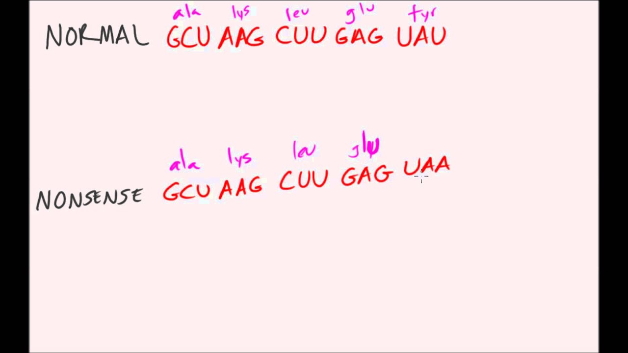 DNA Mutations Made Easy