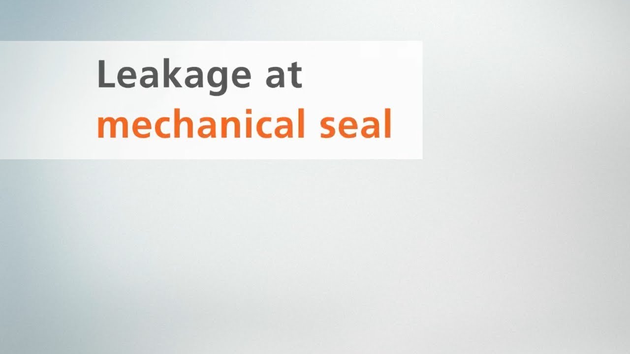 System check – Part 5: Mechanical seal leakage