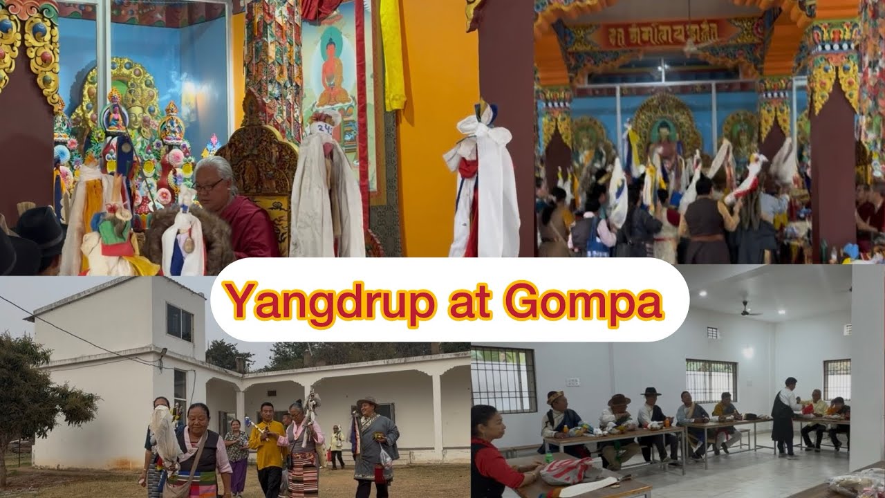 Yangdrup Ritual at Gompa||May this prayer bring prosperity to all beings||Odisha TibetanVlogger||