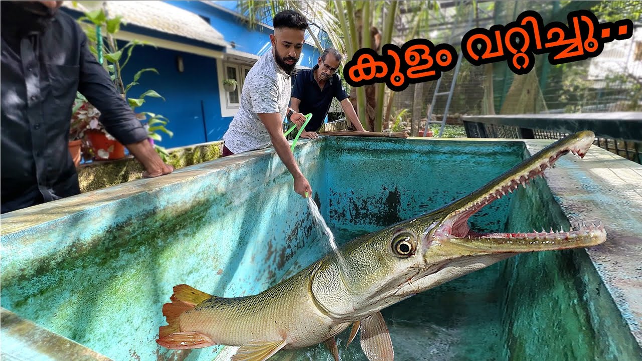 Monster Tank Update 🔥 | അരപൈമ വലുതായി!!!