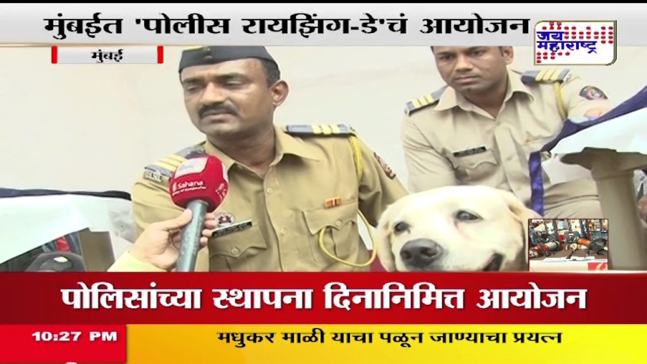 POLICE DAY SPL DOG