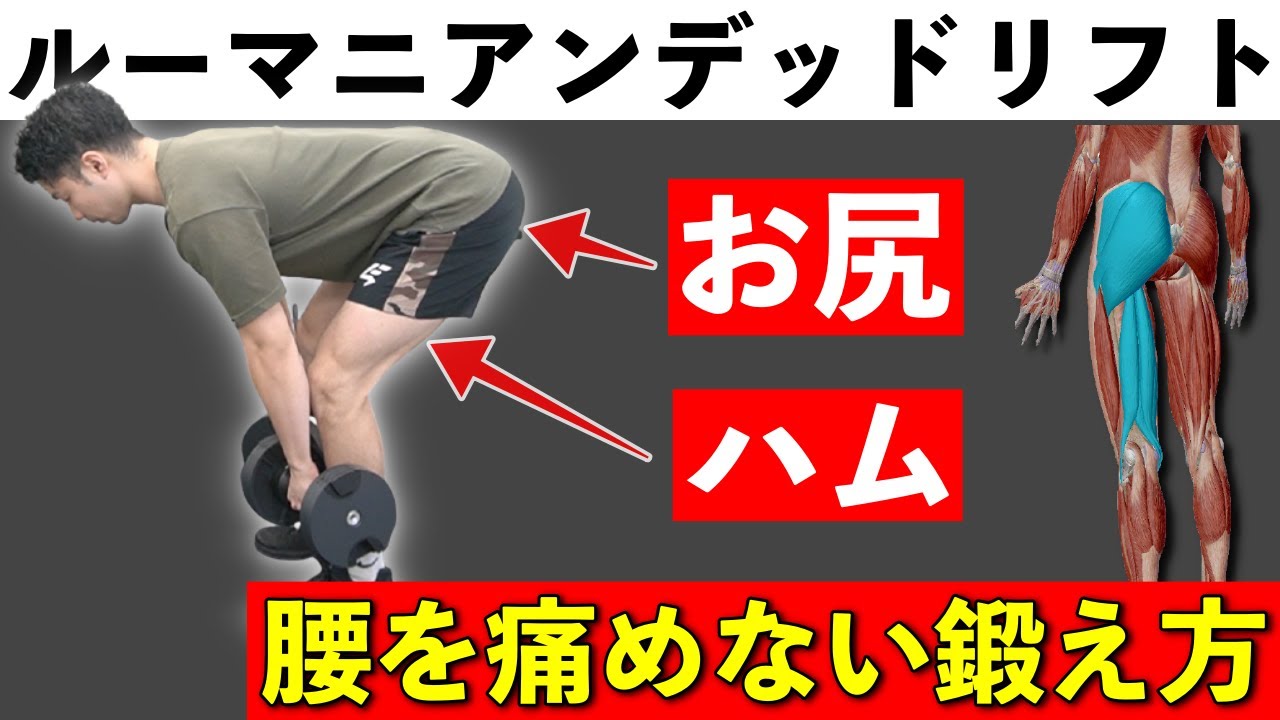 【ルーマニアンデッドリフト】腰を痛めずにお尻とハムストリングスを鍛えるフォーム【ダンベル】