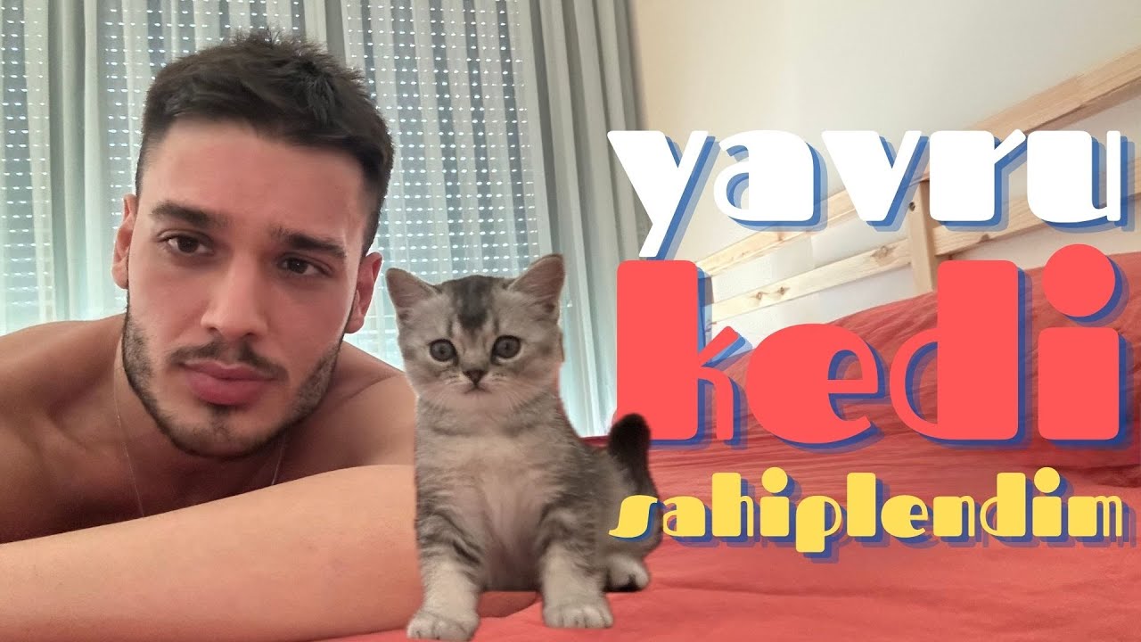 baba oldum!!! ⎟ yavru kedi sahiplenme vlog