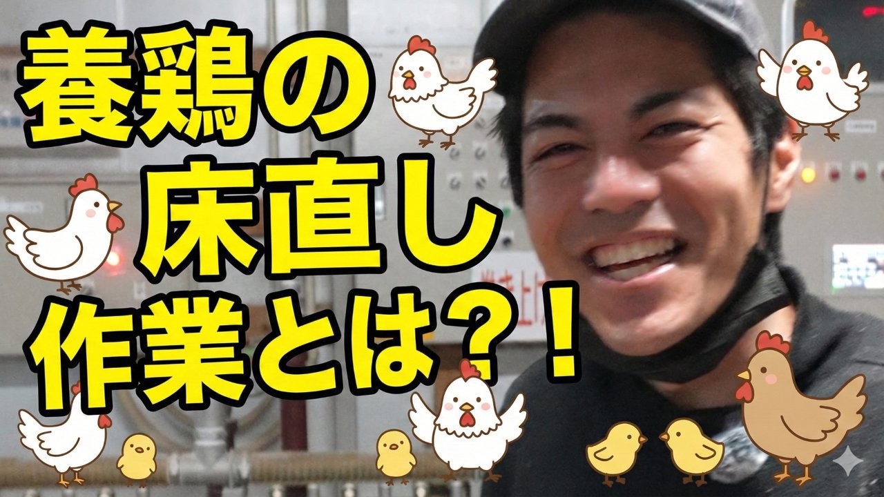 【リアル公開】養鶏の床直し作業とは？想像以上に大変でした…
