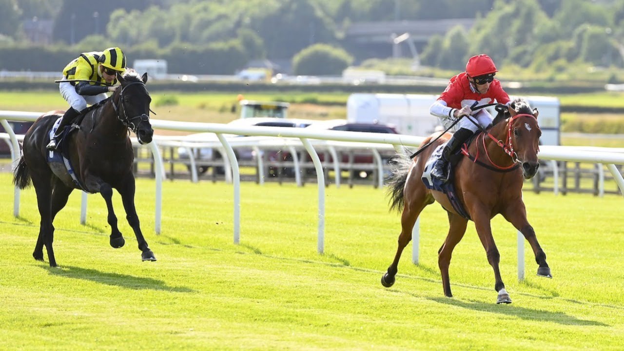 £160k buy ROGUE SUPREMACY impresses on debut | Racing TV