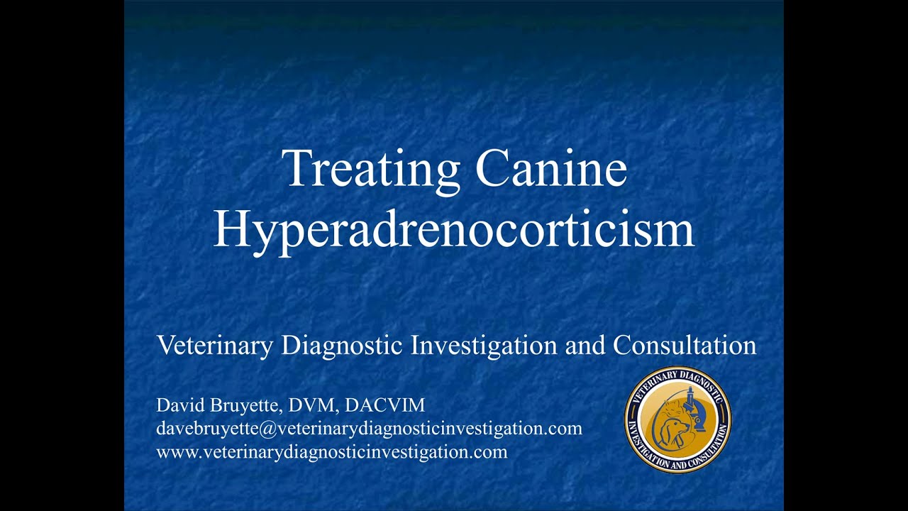 Treating Canine Hyperadrenocorticism