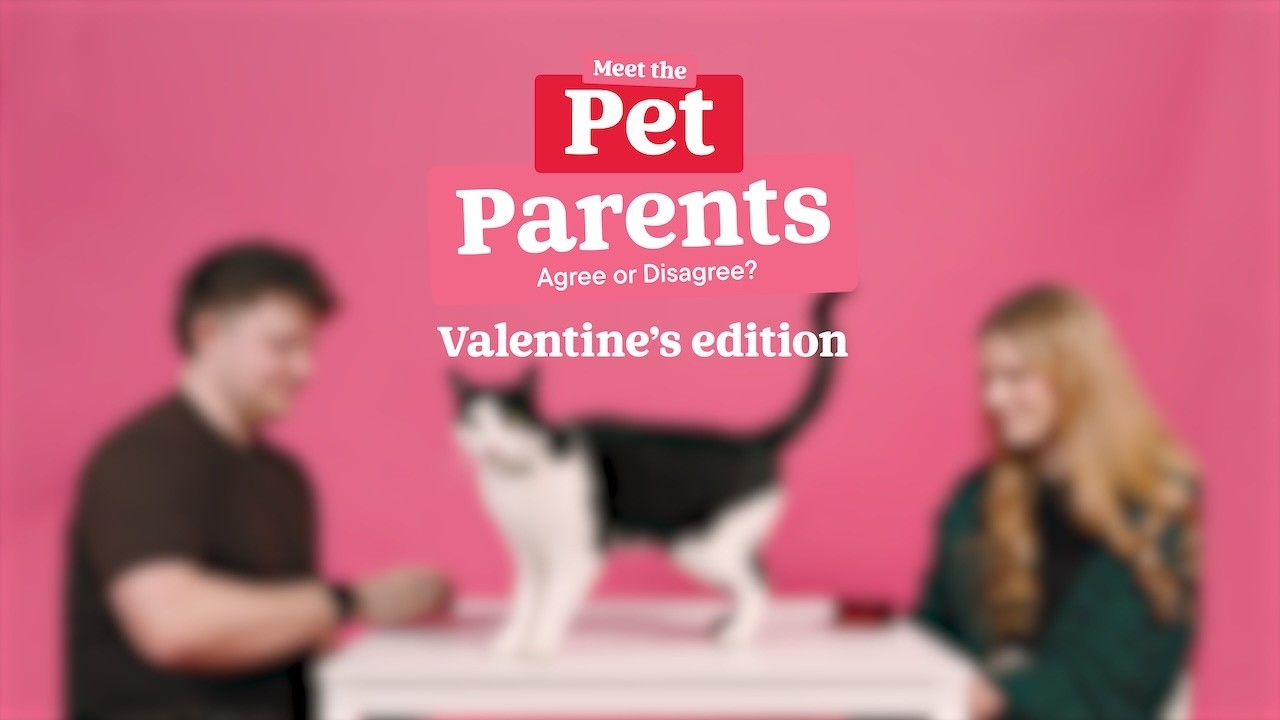 Meet the Pet Parents: Agree or Disagree? | Valentine's Edition