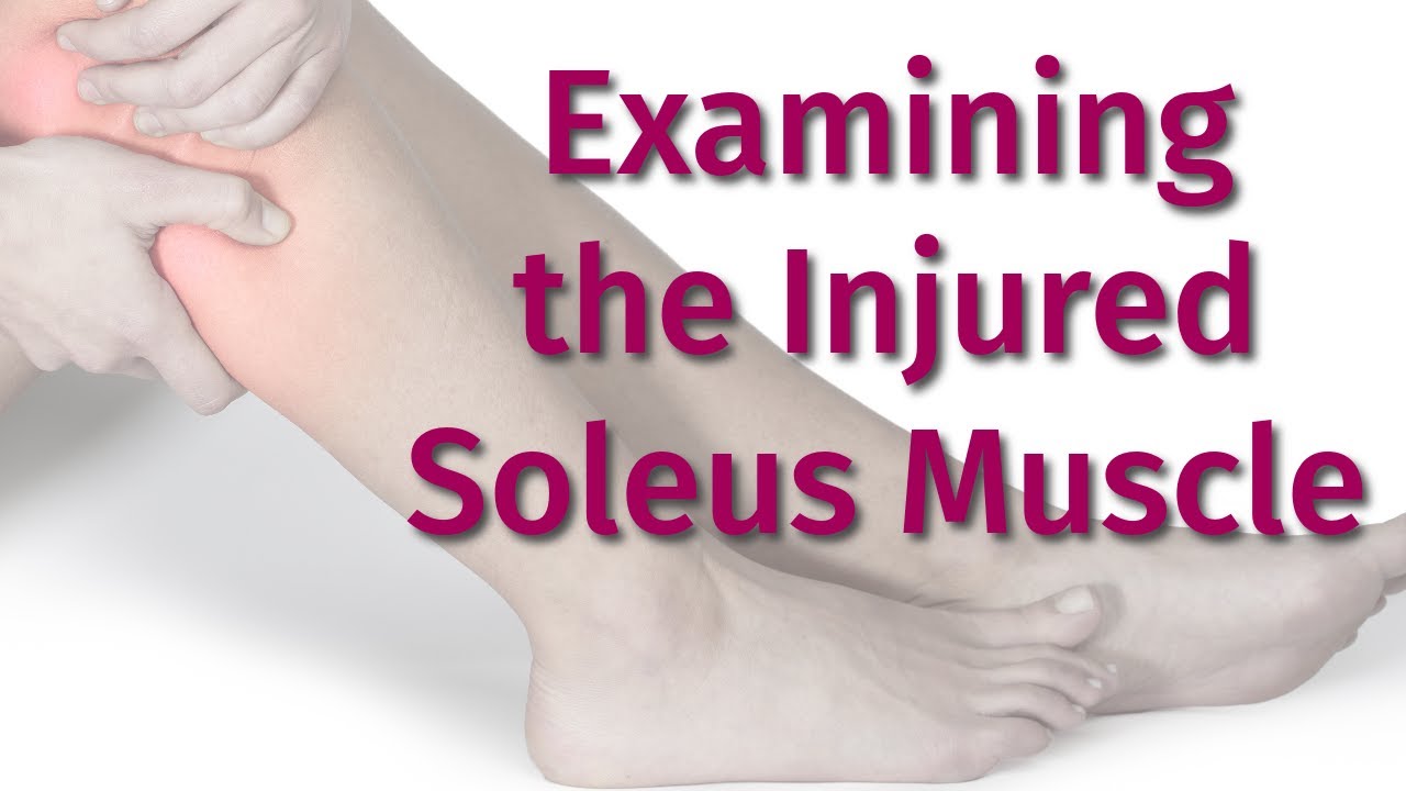 How to Examine for the Injured Soleus Muscle