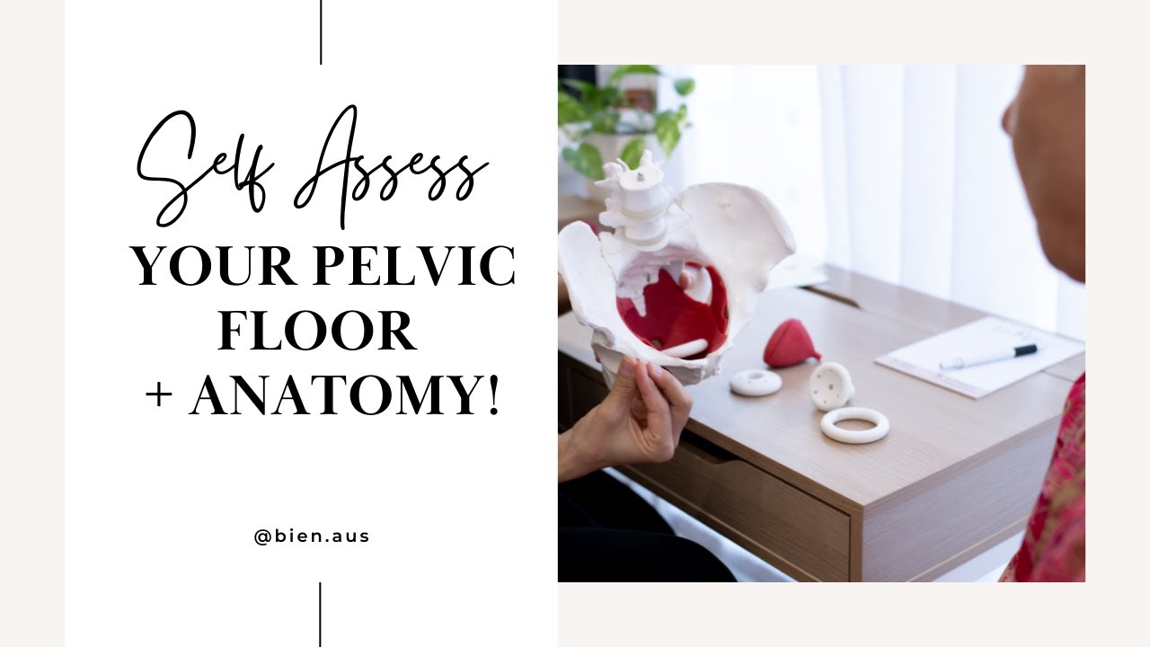 Self assessment of the pelvic floor - Pelvic Floor Anatomy and how do I do a Kegal?