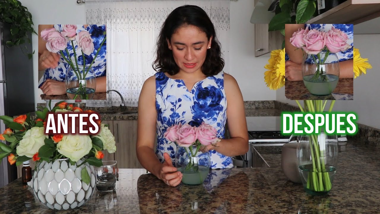TRUCO para revivir tus ROSAS | Algo que los FLORISTAS no quieren que DESCUBRAS