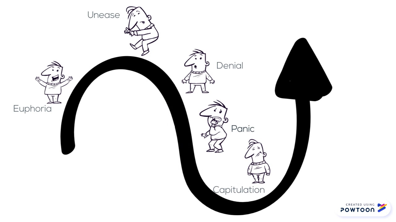 The cycle of stock investor emotions