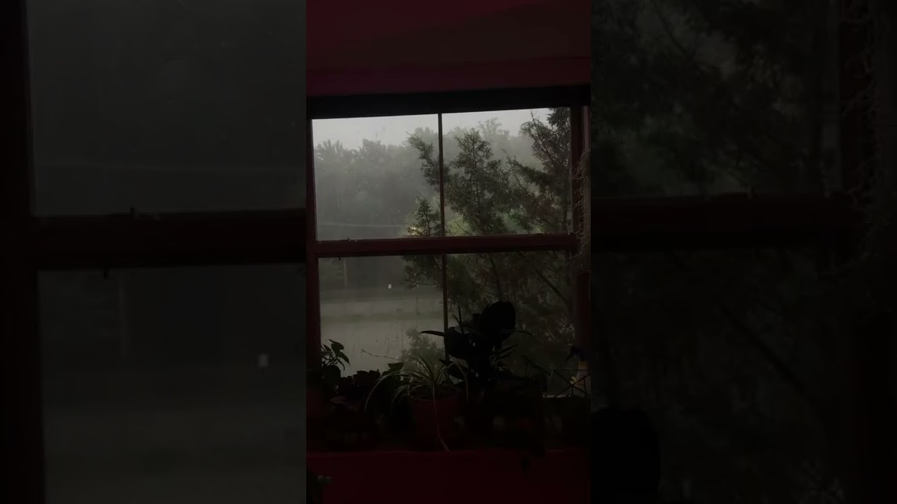 In Love With This Window tiktok chrissdvdsn