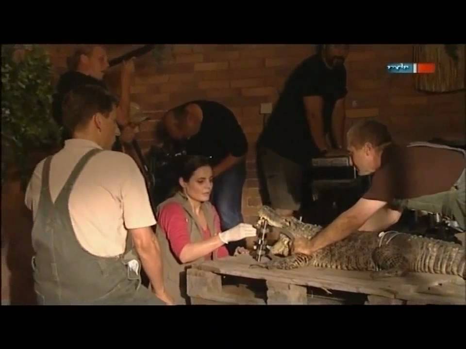 Orazio Martino (L'alligatore) - Tierärztin Dr. ... (Teil 3)