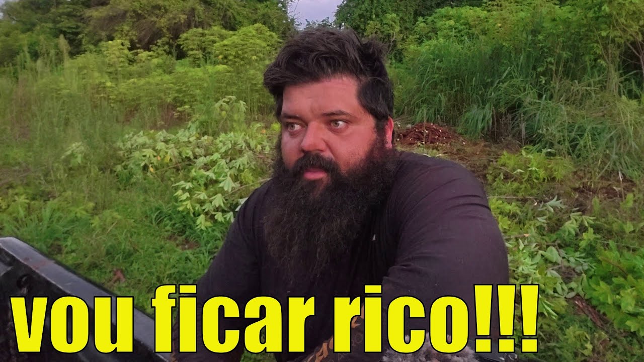 vou ficar milion&aacute;rio plantando mandioca