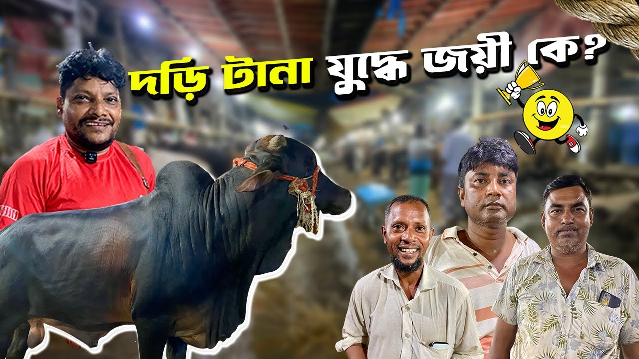 আকরাম ভাই বনাম লাল্টু বেপারী 🐂 দড়ি টানা–টানি! সিরাজগঞ্জ কালো বনাম পাবনা সাদা ষাঁড় | Gabtoli Haat