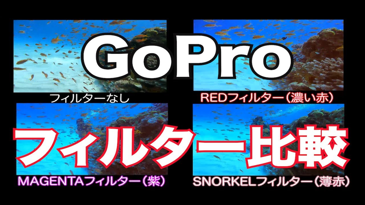 【GOPRO水中フィルター比較】熱烈先生のダイビング講座　第121講