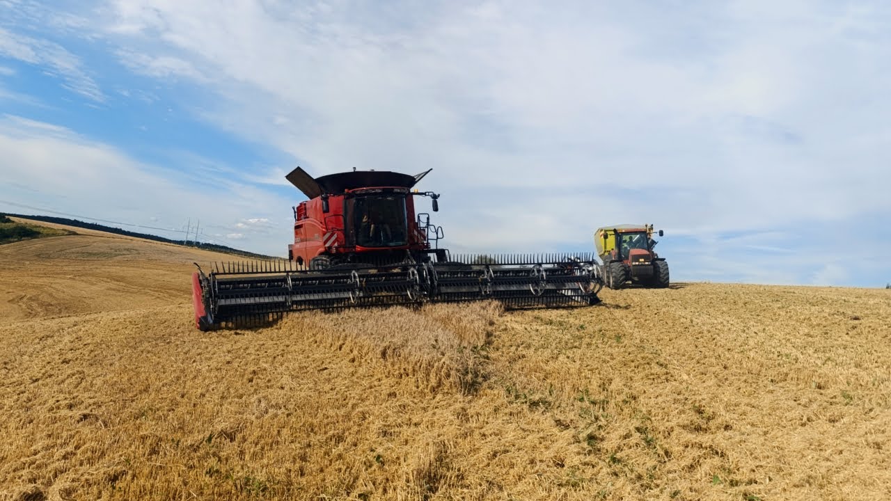 Tulovlog #5 – Mlácení ve svazích a těžkých podmínkách s Case IH 8260 | POV | Driver View |
