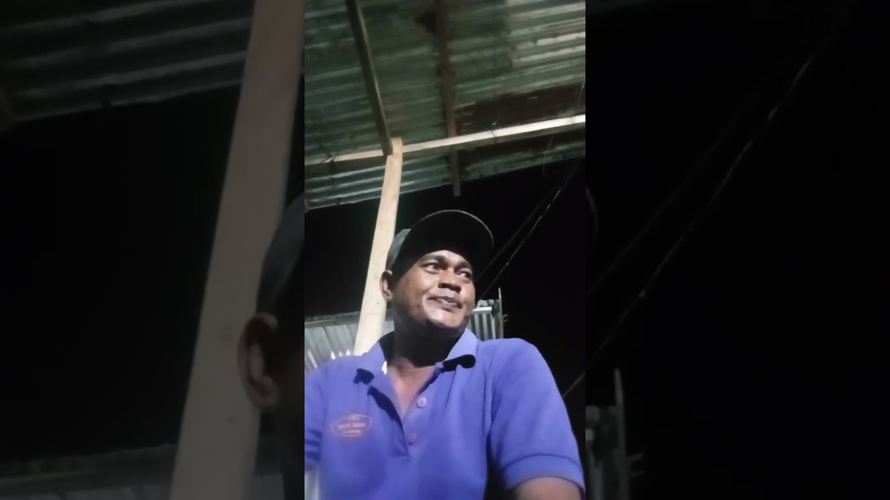 Dil semporna