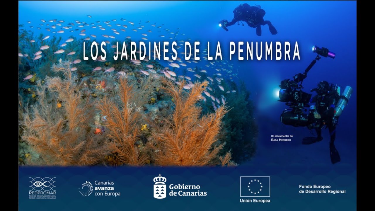 Los jardines de la penumbra