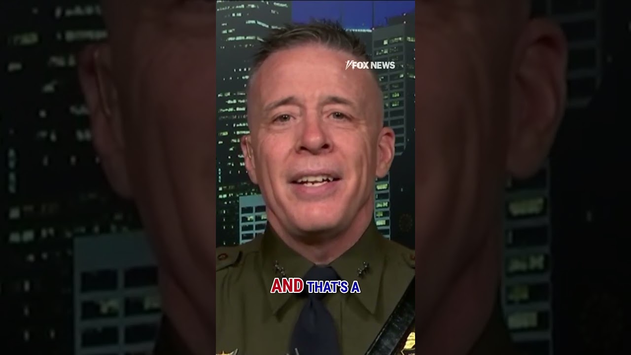 &lsquo;FLAT-OUT LIE': Border Patrol chief says Minneapolis Mayor Jacob Frey REFUSES to do this #shorts #us