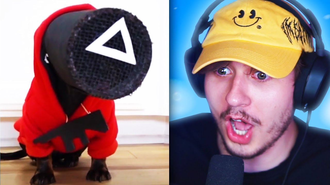 The FUNNIEST Squid Game TikToks