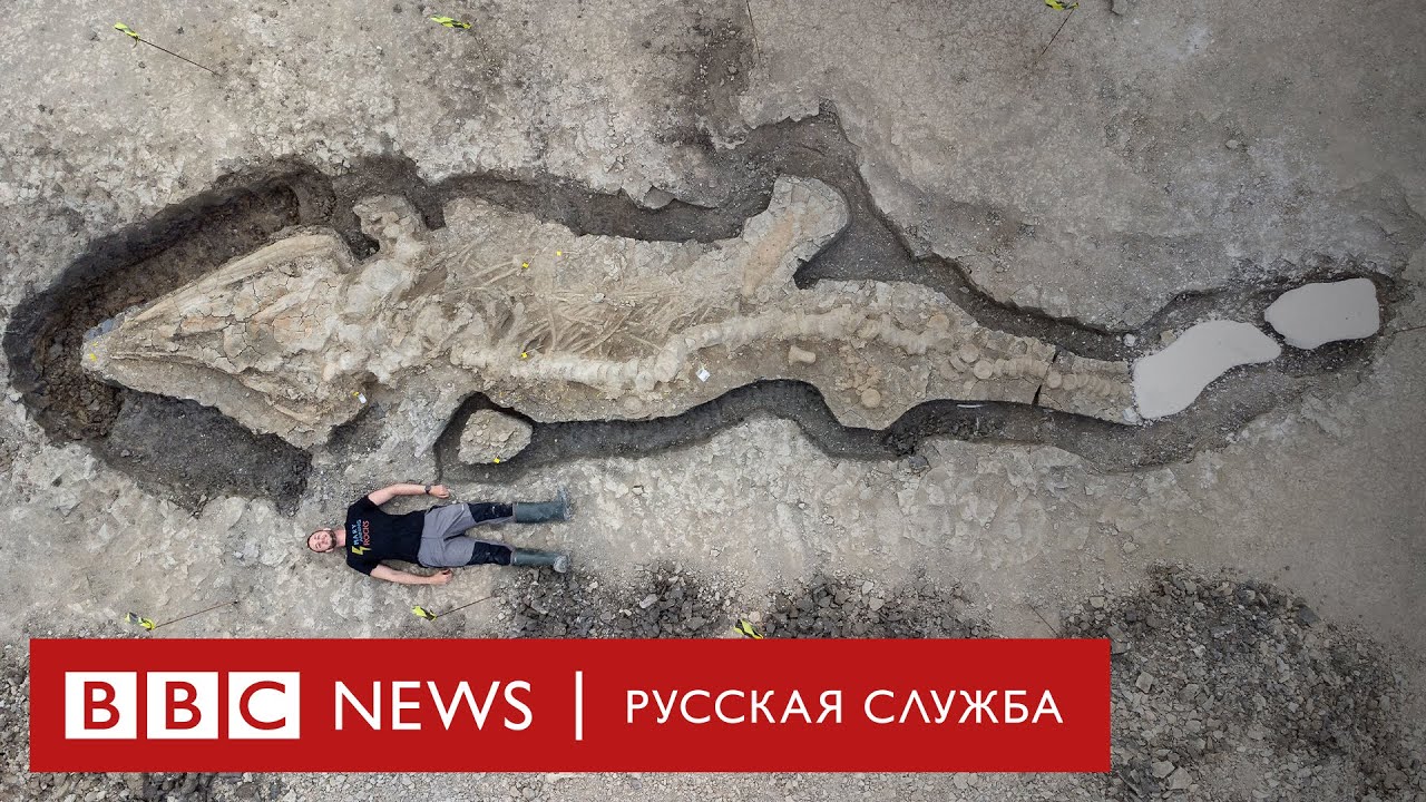 &laquo;Морской дракон&raquo;: найдены останки крупного ихтиозавра | Новости Би-би-си