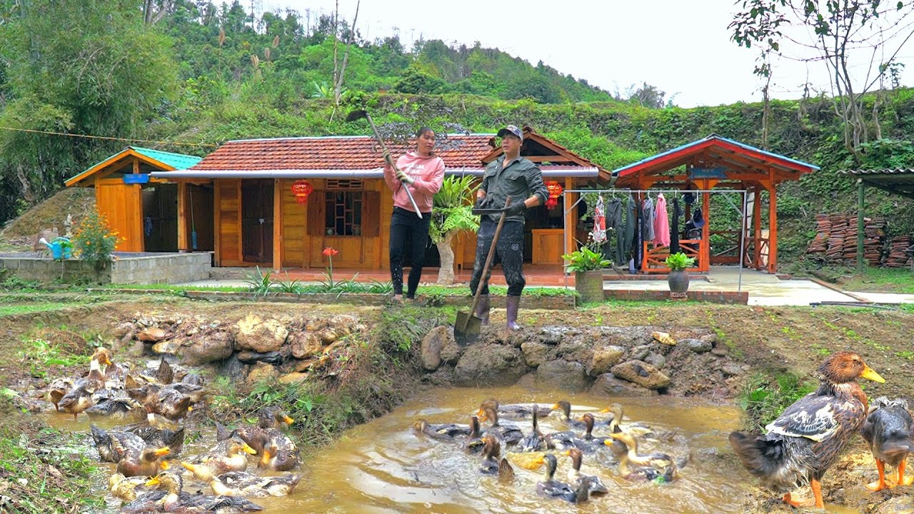 Reclamation, cutting grass, building dams to prevent water. Expand farming and farm development