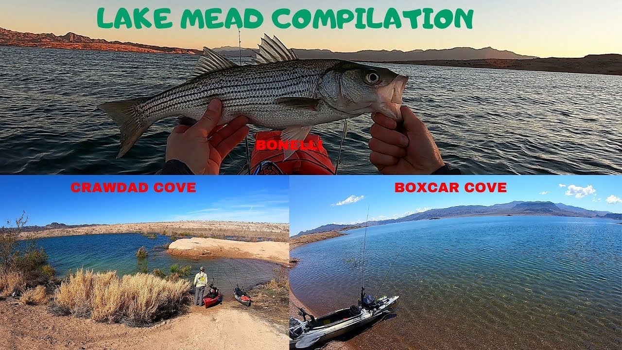 First Compilation Video! Lake Mead Fishing: Bonelli, Crawdad Cove and Boxcar cove