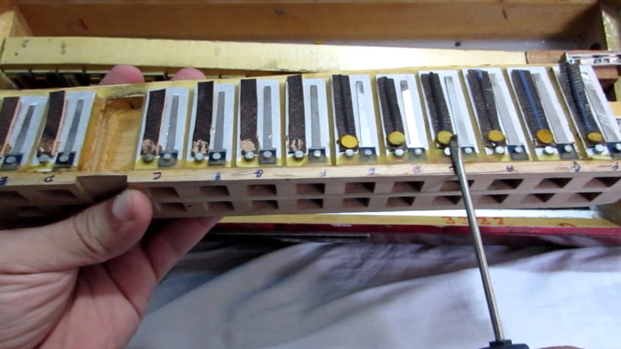 Afinação de acordeon notas nos castelos