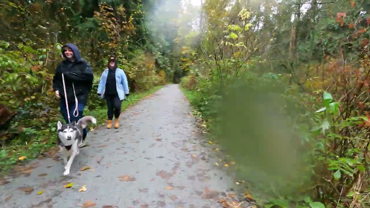 Oct 28, 2025 - Traboulay Poco Trail Along Hyde Creek - 4.5km