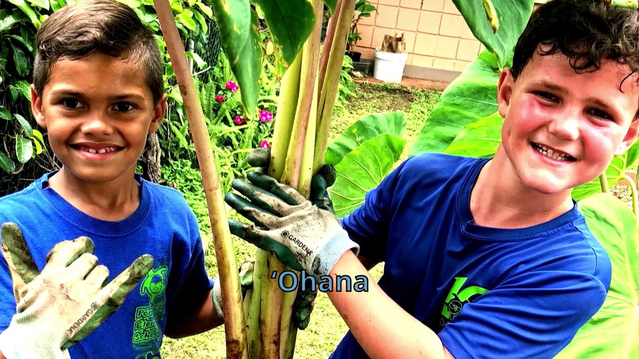 OHANA (THE KALO SONG) - Sing Along