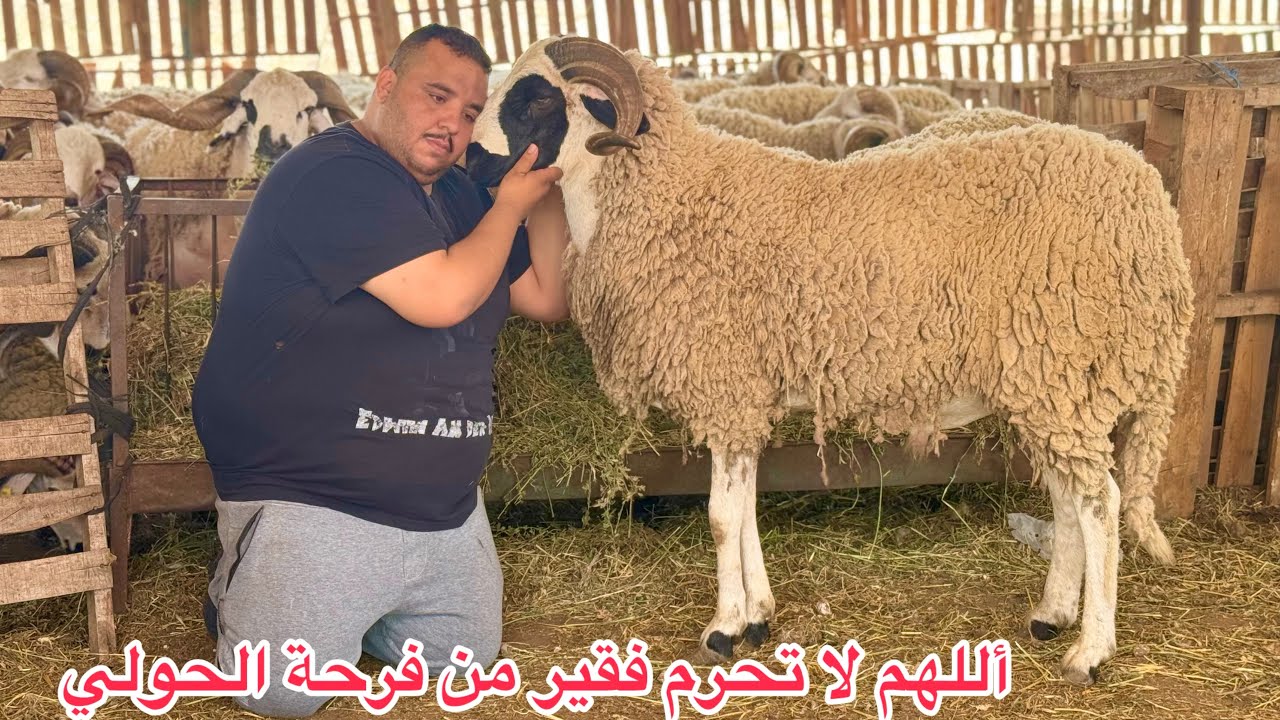 مول لحوالة دوكالي وقع في حب إمرأة متزوجه وعطاها لحولي 🐏فابور...ومتوقعاتش بلي رجلها...