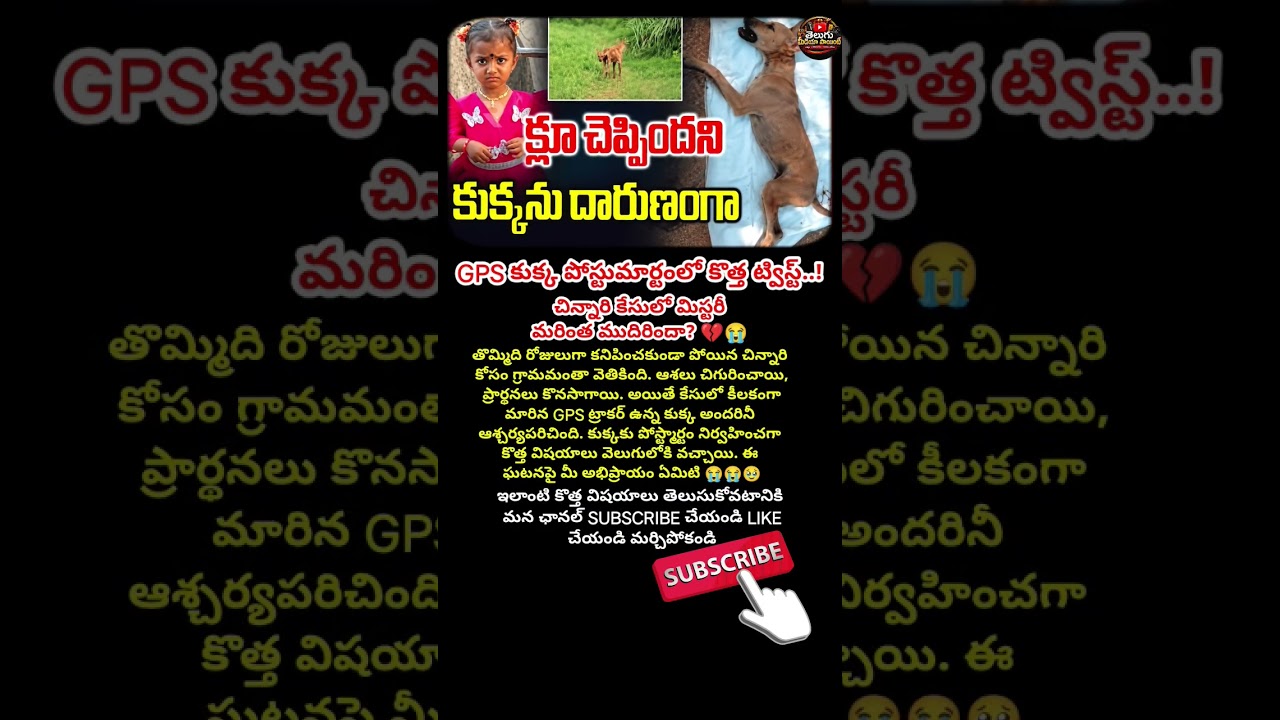 #MissingChild😭#GPSDog😭#SearchOperation #BreakingNews #TeluguNews #TrendingNews #LatestNews #ViralNew
