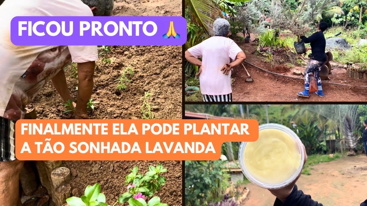 FINALMENTE PRONTO/ ELA PODE PLANTAR A TÃO SONHADA LAVANDA/ CANTEIRO DE JARDIM/ NUBIA VIANA NA ROÇA