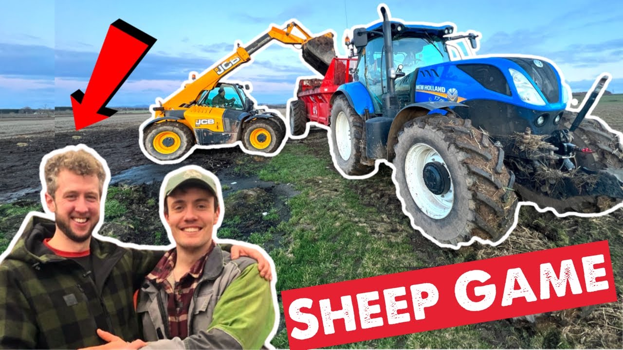 Sheep Farmer Vs A Tractor