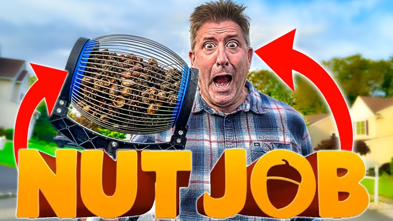 Nuts About This - Zozen Nut Gatherer Review 🥜